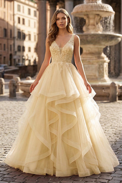 A-Line Prom Dresses Princess Dress Formal Floor Length Sleeveless V Neck Tulle Backless with Pleats Appliques