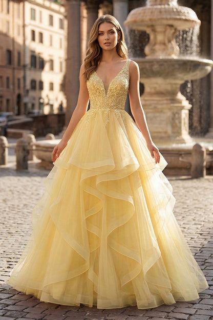 A-Line Prom Dresses Princess Dress Formal Floor Length Sleeveless V Neck Tulle Backless with Pleats Appliques