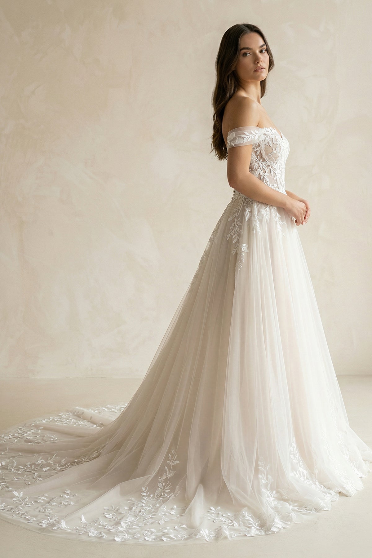 A-line Lace Beach Wedding Dress with Off Shoulder Tulle Appliques